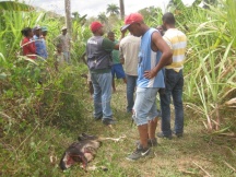 134AFF14-D62F-4D40-93E4-20DFE394953F.jpg__216__250__CROPz0x216y250