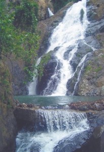 73638BE9-16D4-4AE5-BF4A-D91130C18416.jpg__294__440__CROPz0x294y440