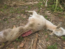 F97125C8-FB80-45C1-B8D5-62763BA74141.jpg__216__250__CROPz0x216y250