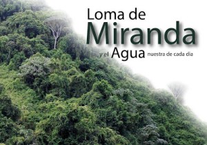 Loma de Miranda