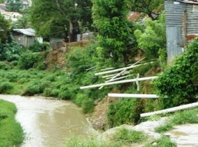 Image result for rio moca