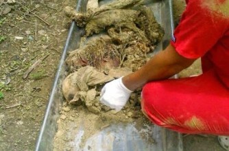 Mató a golpes a su hija y la entierra en patio El cadáver de una menor haitiana, de 15 años, fue encontrado enterrado en la comunidad La Canela de Santiago. Alegadamente fue asesinada por su madre porque sostenía relaciones con su concubino.