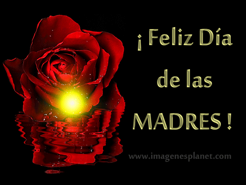 FELIZ DÍA DE LAS MADRES