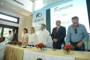 thumbnail_Mesa prinicipal Seminario del PEDEPE.jpg