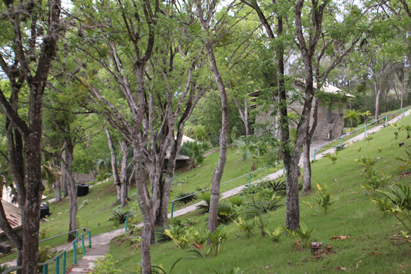 NOTICIAS DE AQUI: Monte de Oración un lugar para la Reflexion