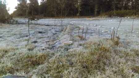 Sigue la baja temperatura en Valle Nuevo de Constanza